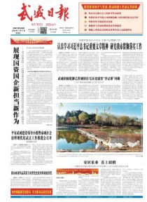 武威日报